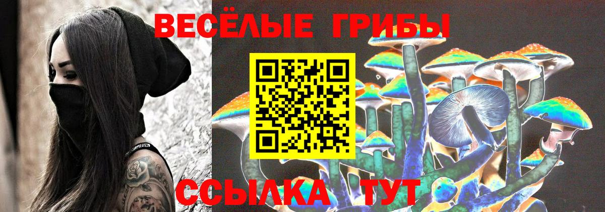 Галлюциногенные грибы Psilocybe Балтийск